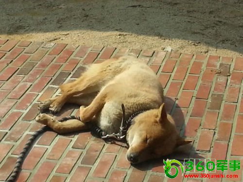 �������ϴ�ǰ&ldquo;��һ��&rdquo;��˯�շ�������(ͼ)