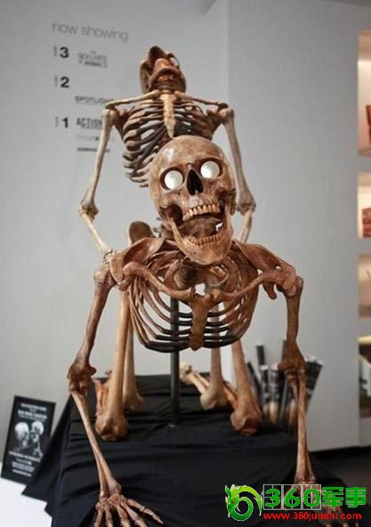 ���ͼƬ�鿴��һҳ